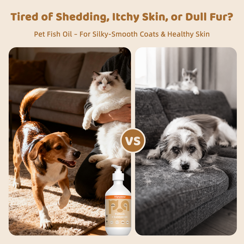 Wild Norway Omega-3 Blend Salmon Oil for Dogs & Cats——16 oz