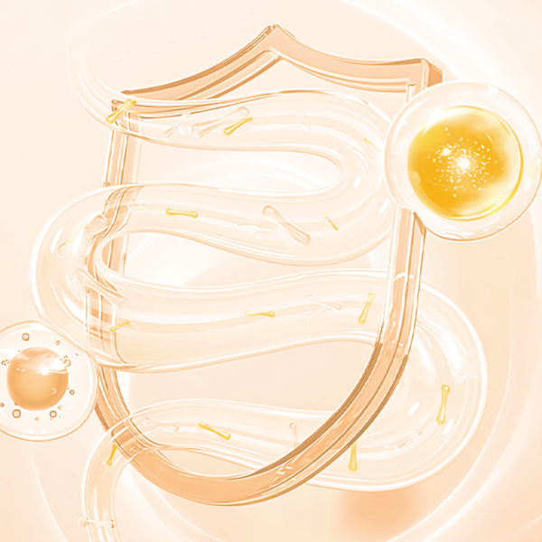 Probiotic Powder for Dogs & Cats – Gut & Digestive Health——8.78 oz