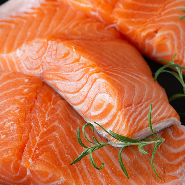 Wild Norway Omega-3 Blend Salmon Oil for Dogs & Cats——16 oz