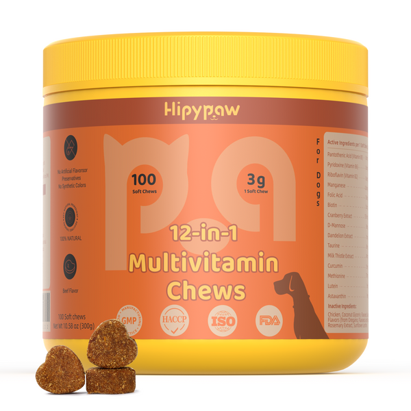 All-in-One Health & Shine Bundle – Multivitamin + Salmon Oil