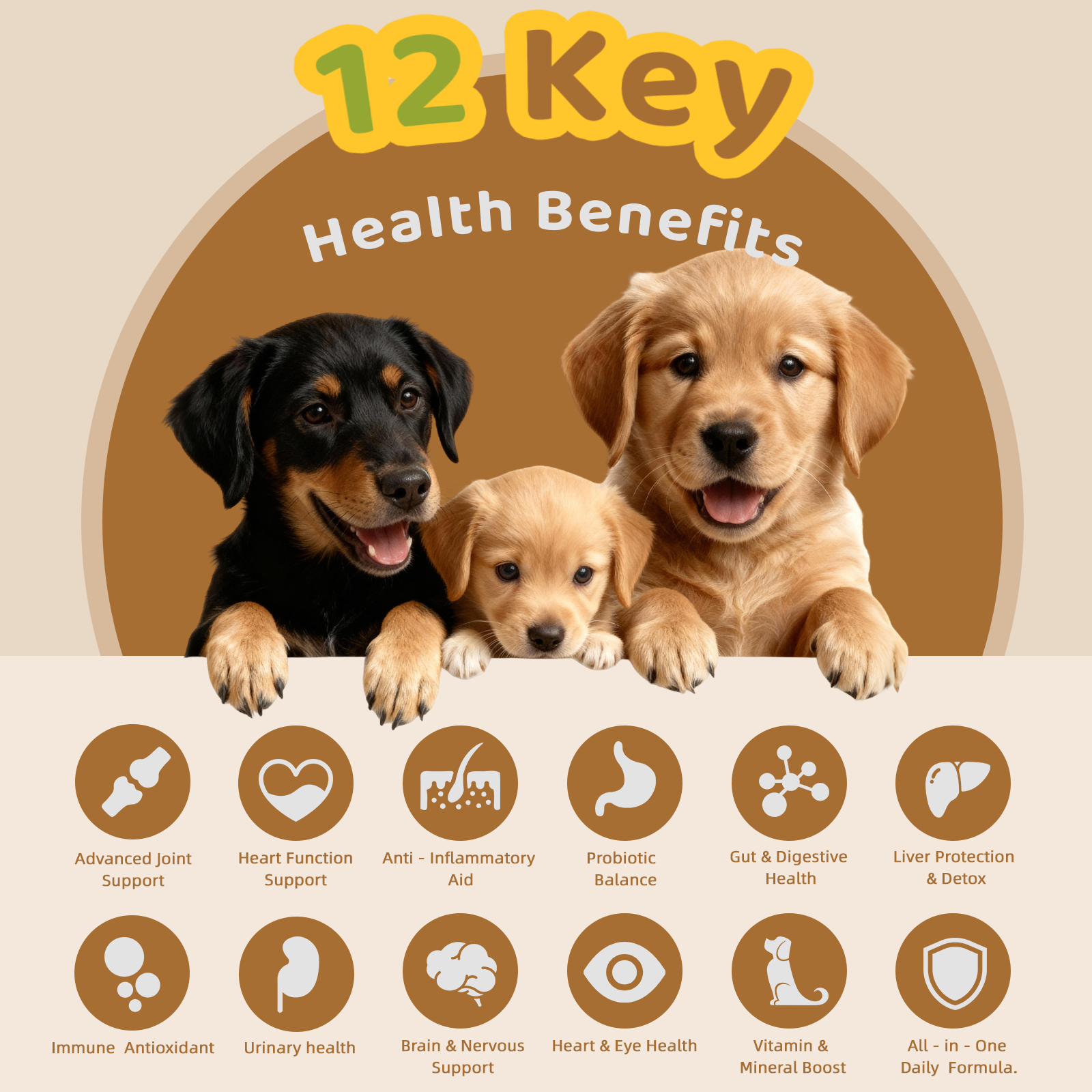 Multivitamin 12 all in one  Treats for Dogs—Beef Flavor