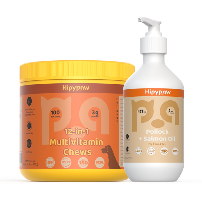 All-in-One Health & Shine Bundle – Multivitamin + Salmon Oil