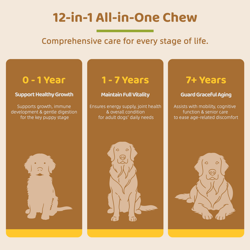 Multivitamin 12 all in one  Treats for Dogs—Beef Flavor