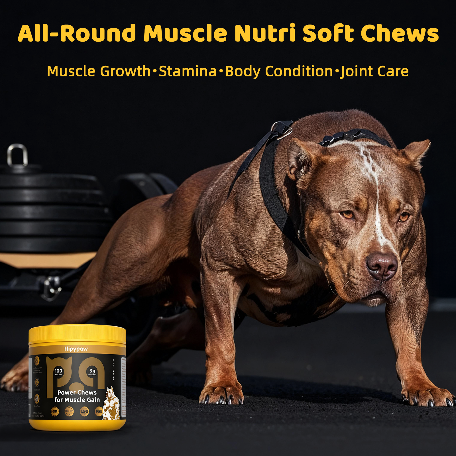 Muscle Builder & Performance Soft Chews—Salmon Flavor