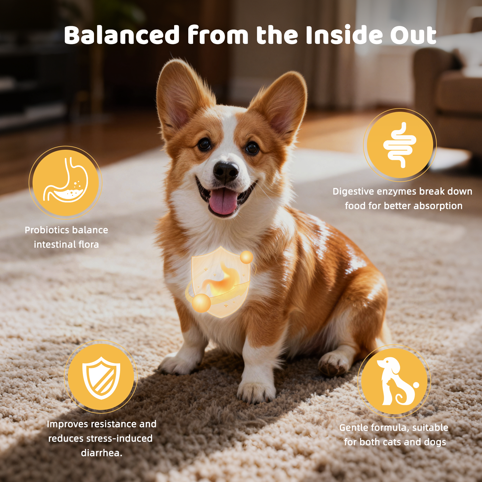 Probiotic Powder for Dogs & Cats – Gut & Digestive Health——8.78 oz