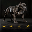 Muscle & Joint Performance Duo – Strength + Mobility Formula for Dogs