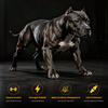 Muscle & Joint Performance Duo – Strength + Mobility Formula for Dogs