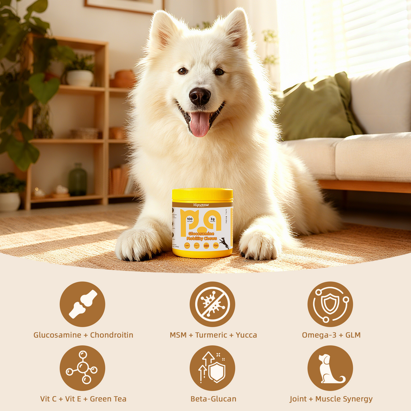 Joint & Mobility Support Duo – Glucosamine + Omega-3 Formula for Dogs
