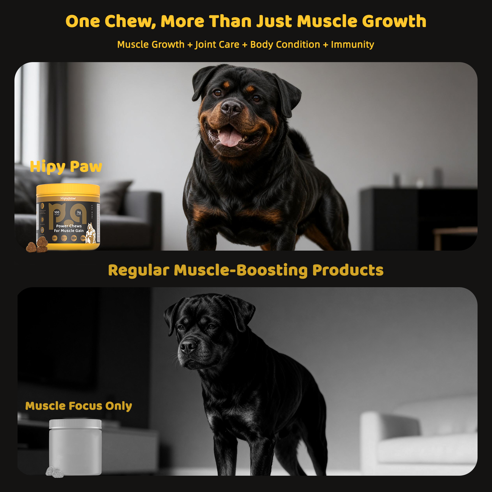 Muscle Builder & Performance Soft Chews—Salmon Flavor