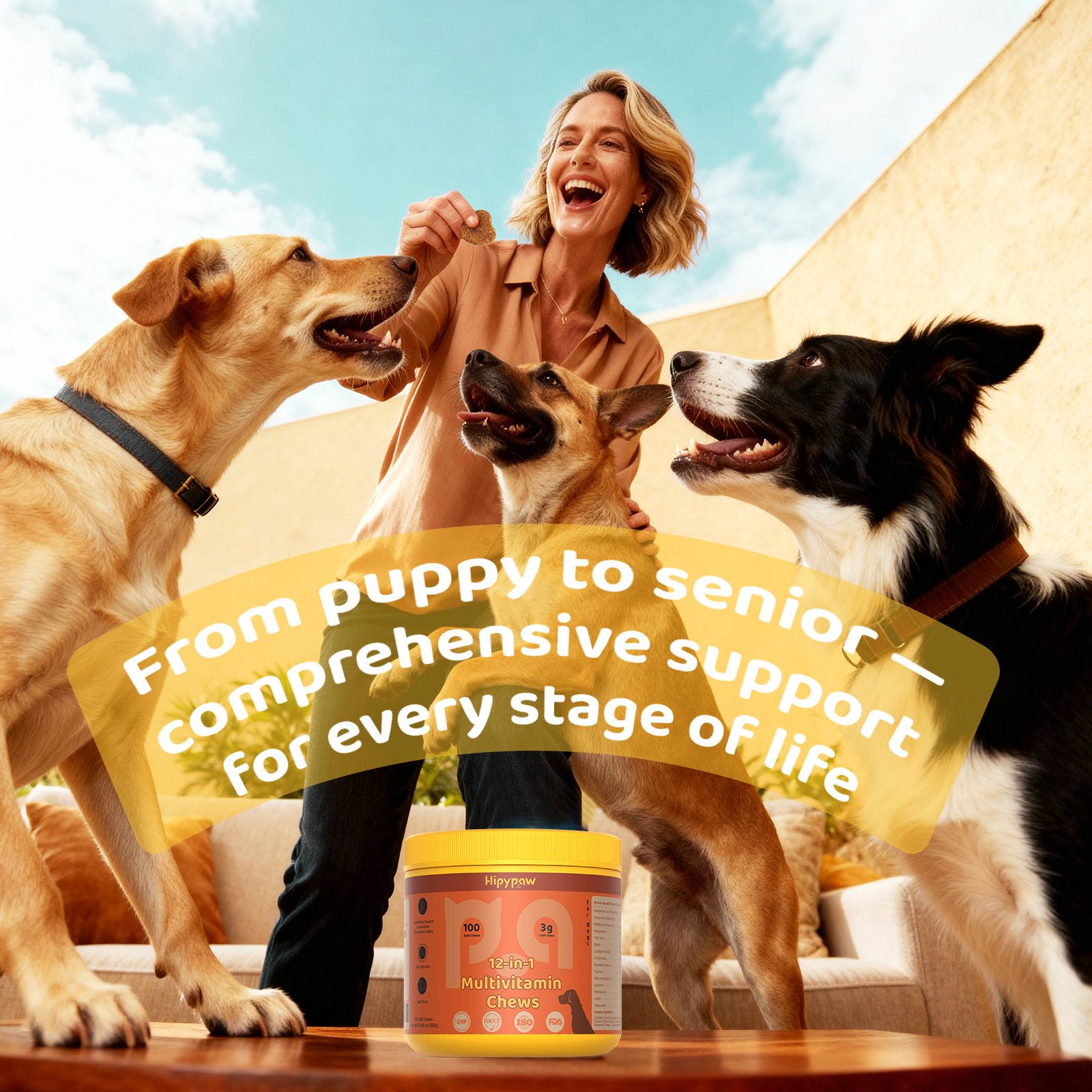 Multivitamin 12 all in one  Treats for Dogs—Beef Flavor