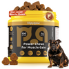 Muscle Builder & Performance Soft Chews—Salmon Flavor